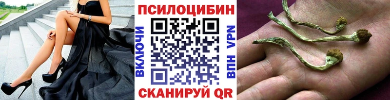 мега зеркало  Аша  Псилоцибиновые грибы MAGIC MUSHROOMS 